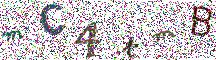 Beeld-CAPTCHA
