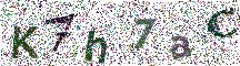 Beeld-CAPTCHA