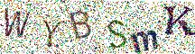 Beeld-CAPTCHA