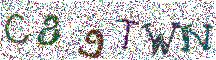 Beeld-CAPTCHA