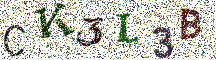 Beeld-CAPTCHA