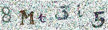 Beeld-CAPTCHA