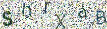 Beeld-CAPTCHA