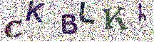 Beeld-CAPTCHA