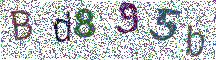 Beeld-CAPTCHA