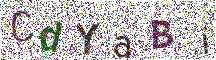 Beeld-CAPTCHA