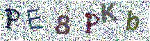 Beeld-CAPTCHA