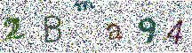 Beeld-CAPTCHA
