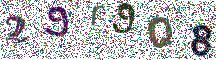 Beeld-CAPTCHA