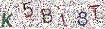 Beeld-CAPTCHA