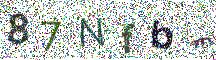 Beeld-CAPTCHA