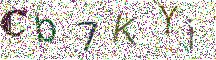 Beeld-CAPTCHA