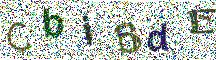Beeld-CAPTCHA
