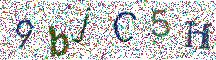 Beeld-CAPTCHA