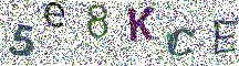 Beeld-CAPTCHA