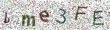 Beeld-CAPTCHA