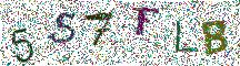Beeld-CAPTCHA
