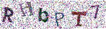 Beeld-CAPTCHA