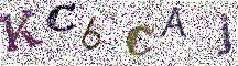 Beeld-CAPTCHA
