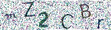 Beeld-CAPTCHA