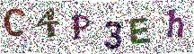 Beeld-CAPTCHA