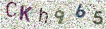 Beeld-CAPTCHA