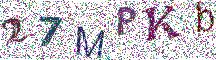 Beeld-CAPTCHA