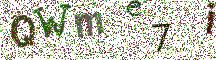 Beeld-CAPTCHA