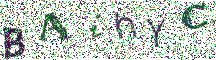 Beeld-CAPTCHA