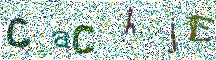 Beeld-CAPTCHA