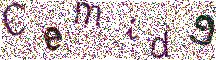 Beeld-CAPTCHA