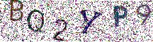 Beeld-CAPTCHA