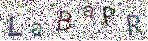 Beeld-CAPTCHA