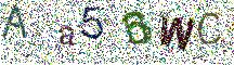 Beeld-CAPTCHA