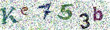 Beeld-CAPTCHA