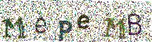 Beeld-CAPTCHA