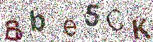 Beeld-CAPTCHA