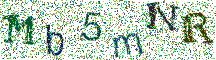 Beeld-CAPTCHA