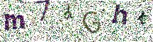 Beeld-CAPTCHA