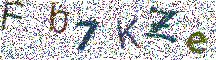Beeld-CAPTCHA