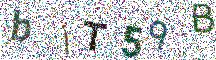 Beeld-CAPTCHA