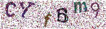 Beeld-CAPTCHA