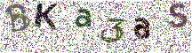 Beeld-CAPTCHA