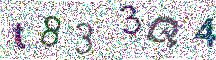 Beeld-CAPTCHA