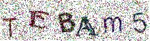 Beeld-CAPTCHA