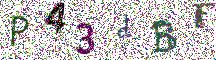 Beeld-CAPTCHA