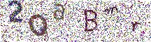 Beeld-CAPTCHA