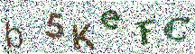 Beeld-CAPTCHA