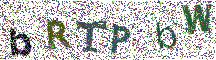 Beeld-CAPTCHA