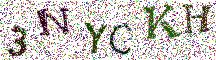 Beeld-CAPTCHA